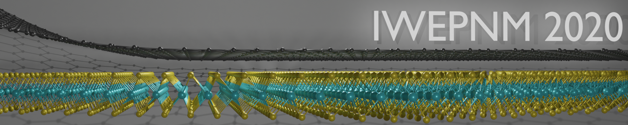 IWEPNM 2020